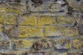 Pierre naturelle de provence à Marseille